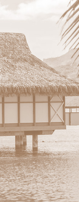 基础平台-设计、规划、建设、运维、监管智慧旅游大数据中心、云计算等旅游信息化的基础及核心设施。